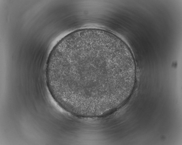 X0000112160995200909181443