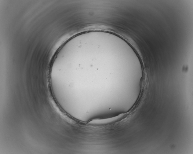 X0000112160997200909181443
