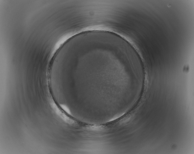 X0000112160998200909181443