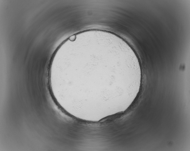 X0000112160999200909181443