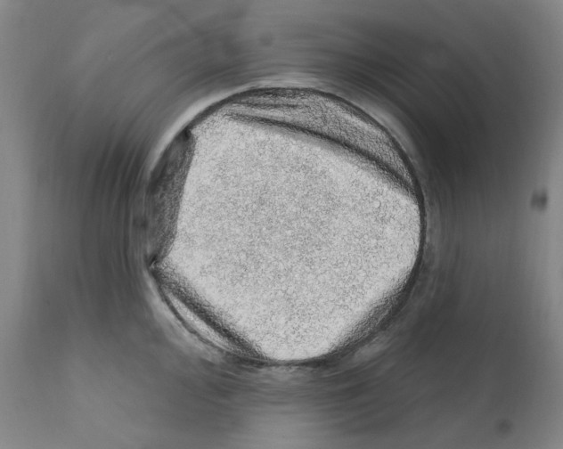 X0000112161000200909181443
