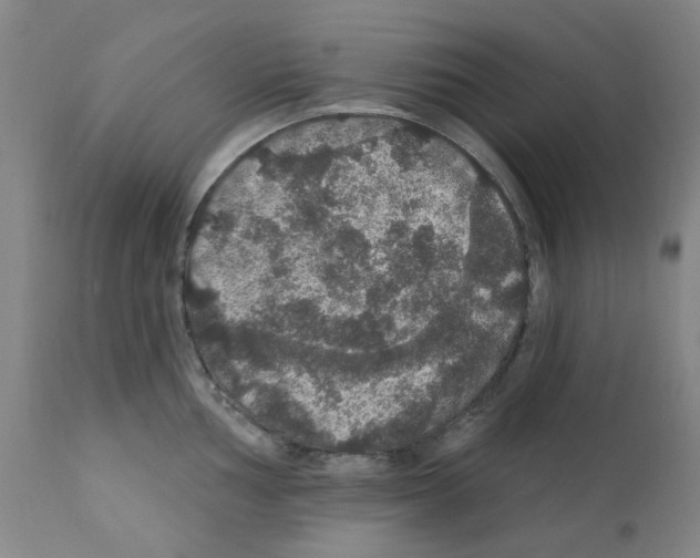 X0000112161002200909181443