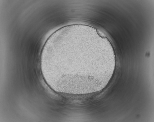 X0000112161004200909181443