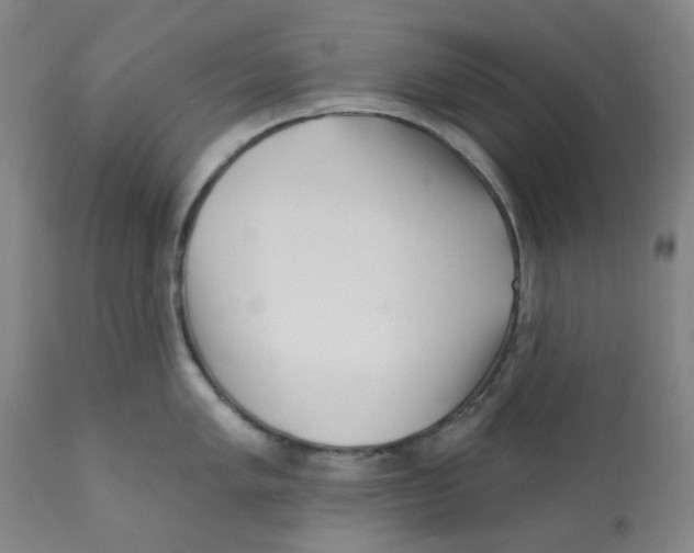 X0000112161005200909181443