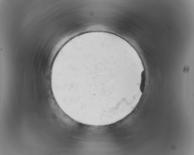 X0000112161008200909181443