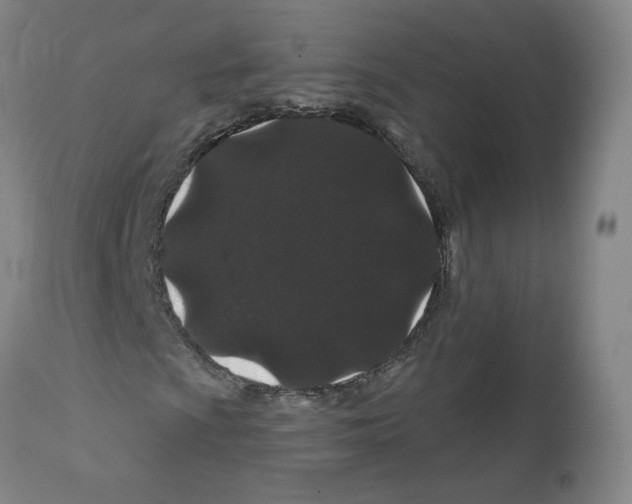 X0000112161009200909181442