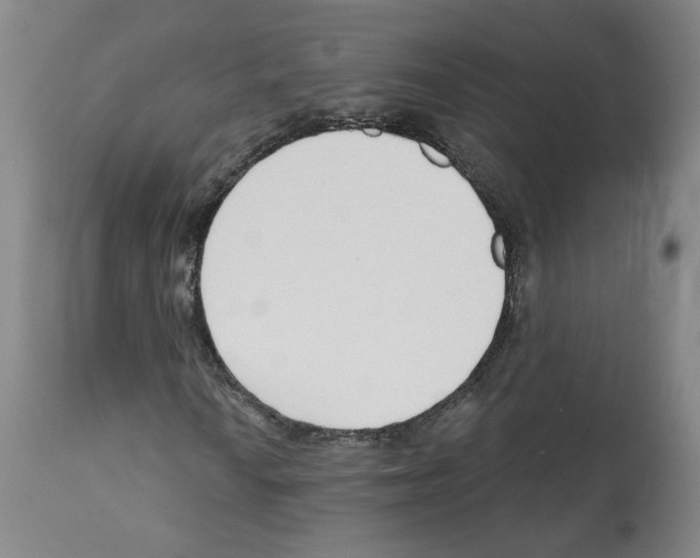 X0000112161010200909181442