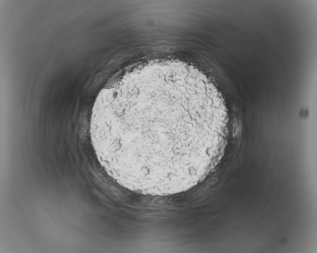 X0000112161011200909181442