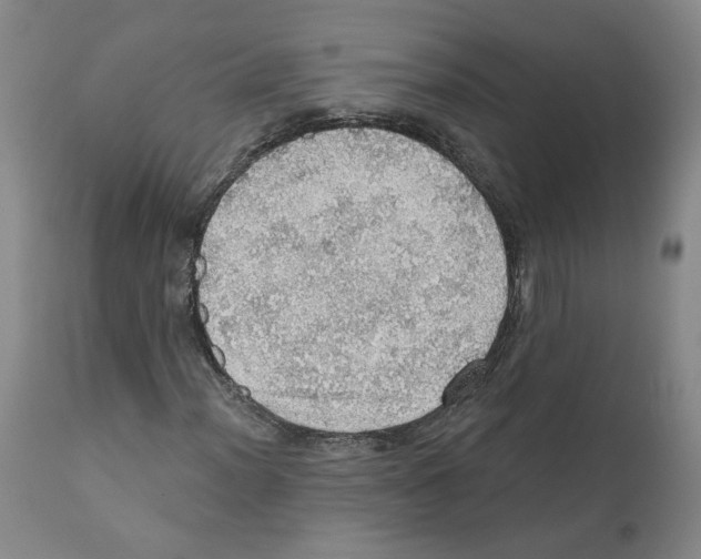 X0000112161012200909181442