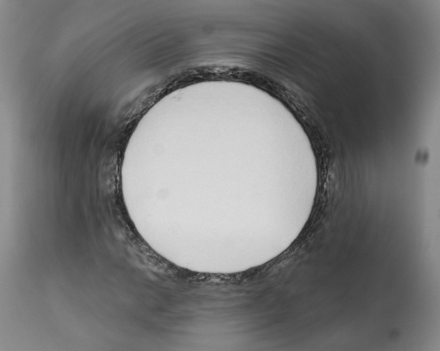 X0000112161014200909181442