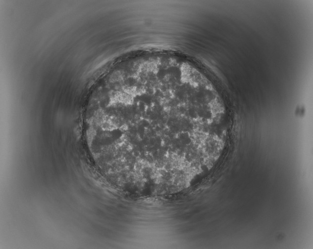 X0000112161015200909181442