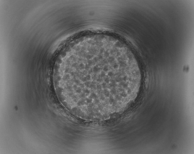X0000112161016200909181442