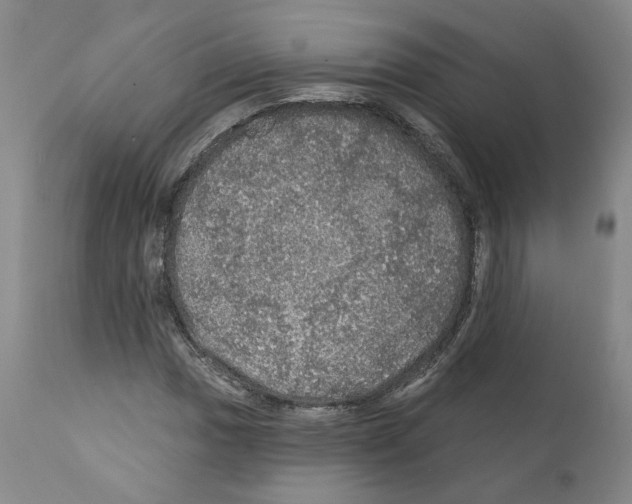 X0000112161017200909181442