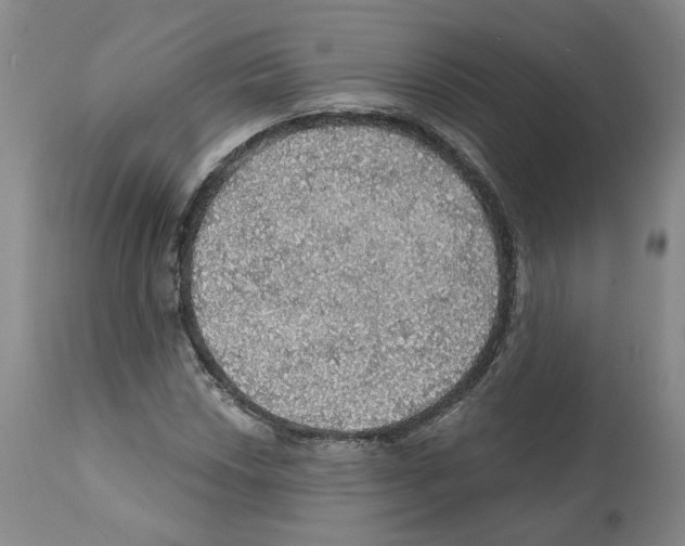 X0000112161018200909181442