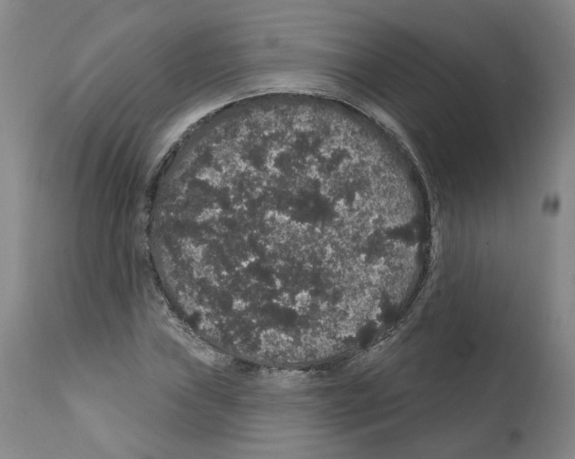 X0000112161019200909181442