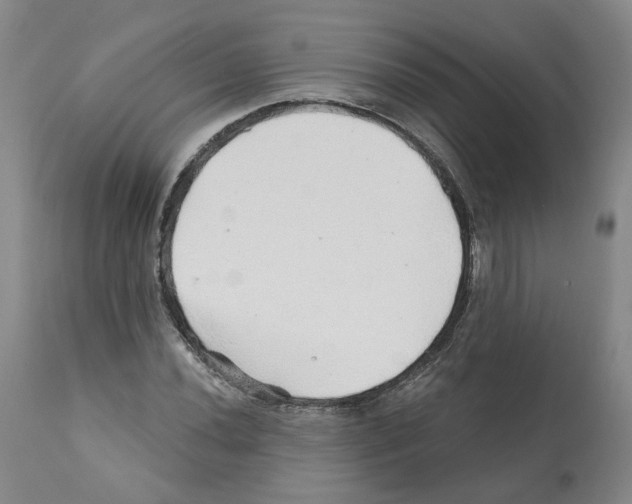 X0000112161020200909181442