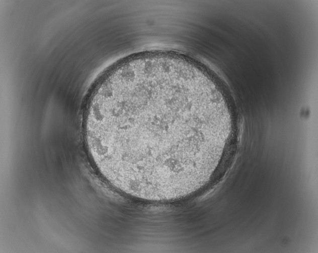 X0000112161021200909181442