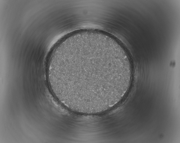X0000112161022200909181442