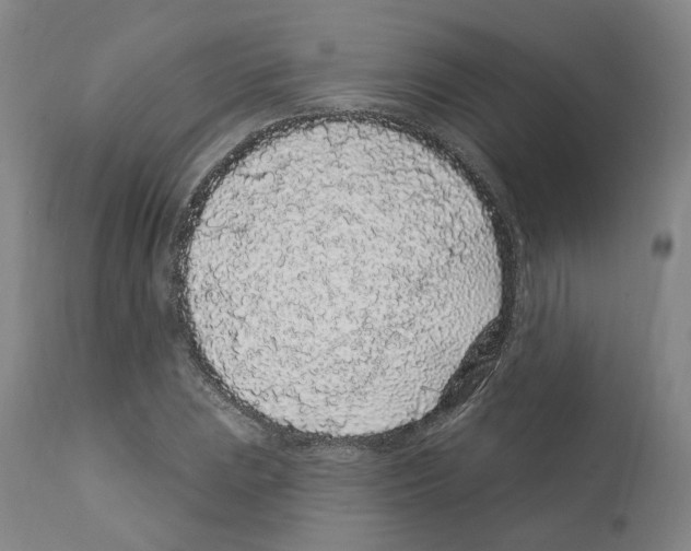X0000112161023200909181442