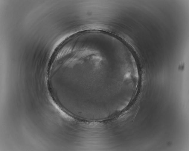 X0000112161024200909181442