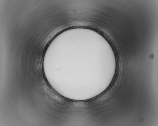 X0000112161025200909181442