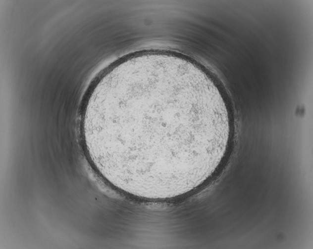 X0000112161029200909181442