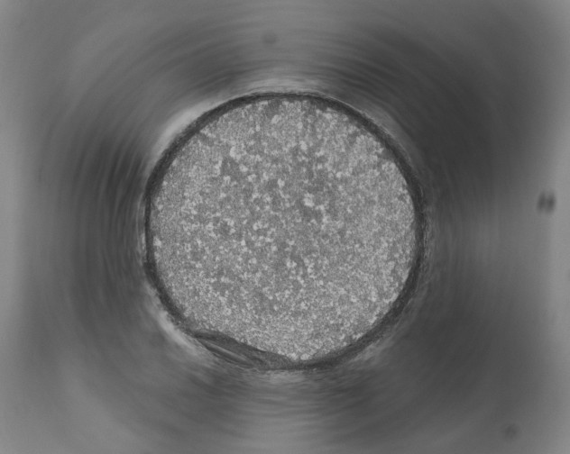 X0000112161030200909181442