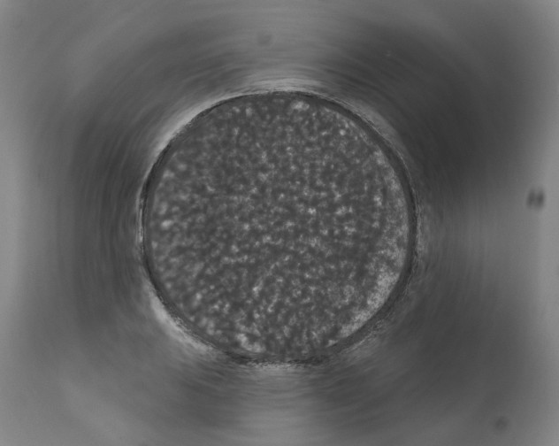 X0000112161031200909181443