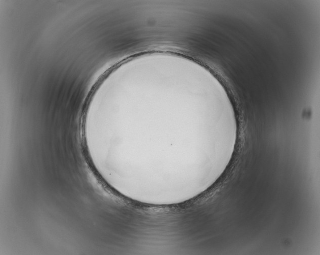 X0000112161032200909181443