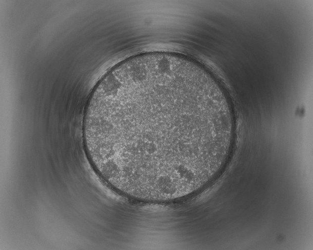 X0000112161033200909181443