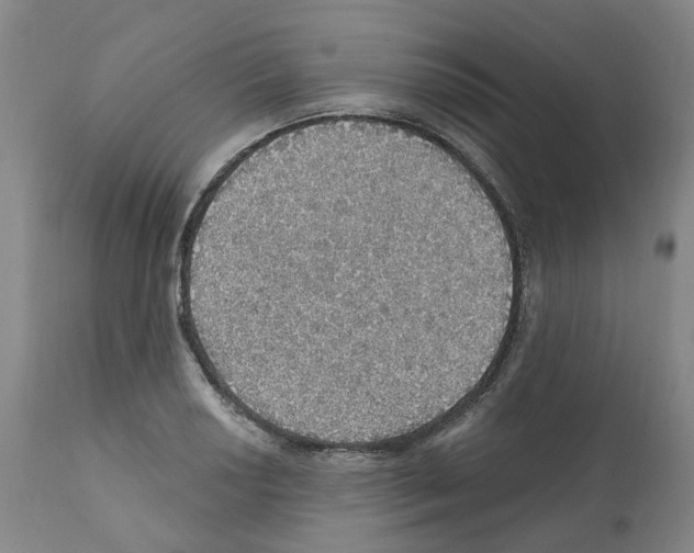 X0000112161034200909181443