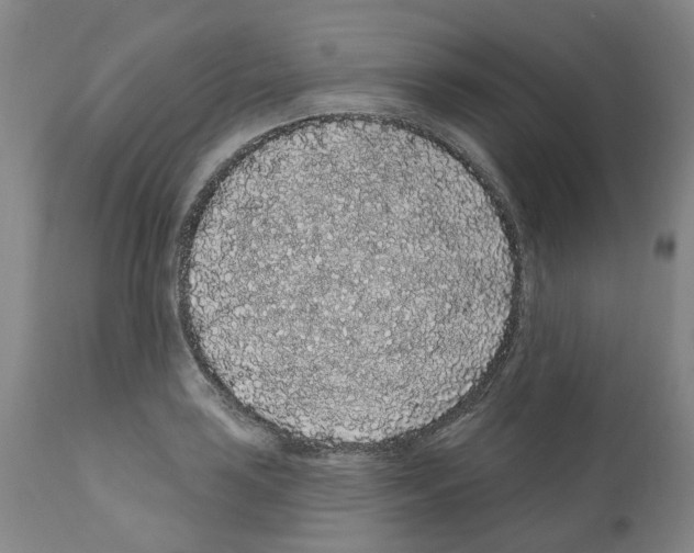 X0000112161035200909181443