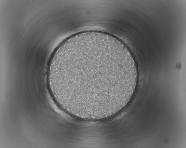 X0000112161038200909181443