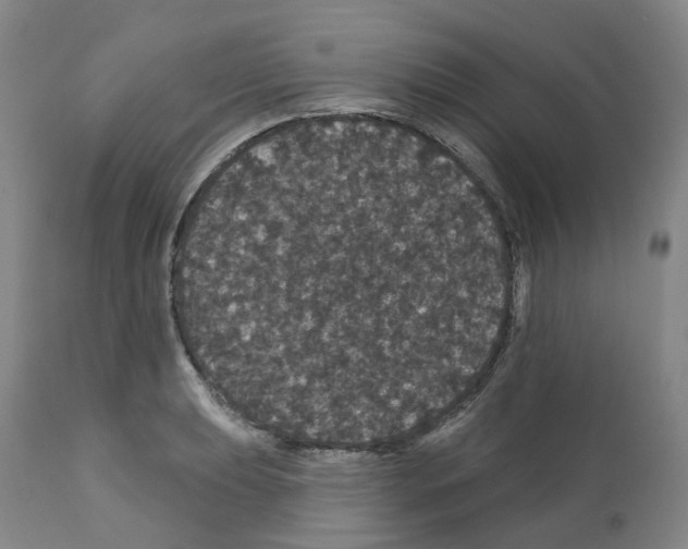 X0000112161039200909181443