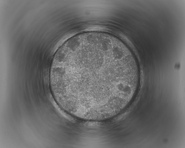 X0000112161041200909181443