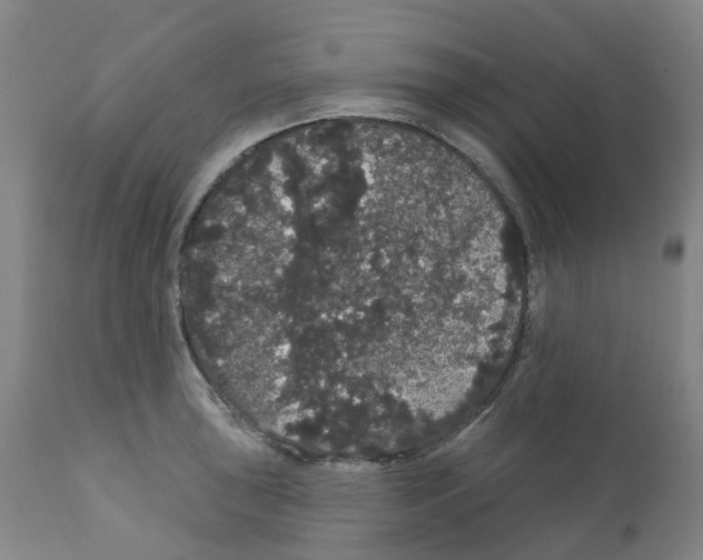 X0000112161043200909181443