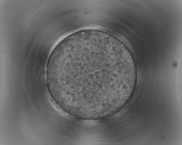 X0000112161044200909181443