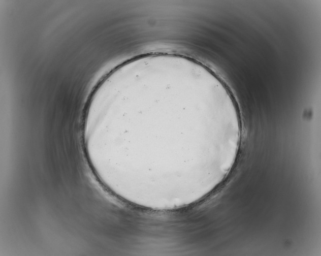 X0000112161045200909181443