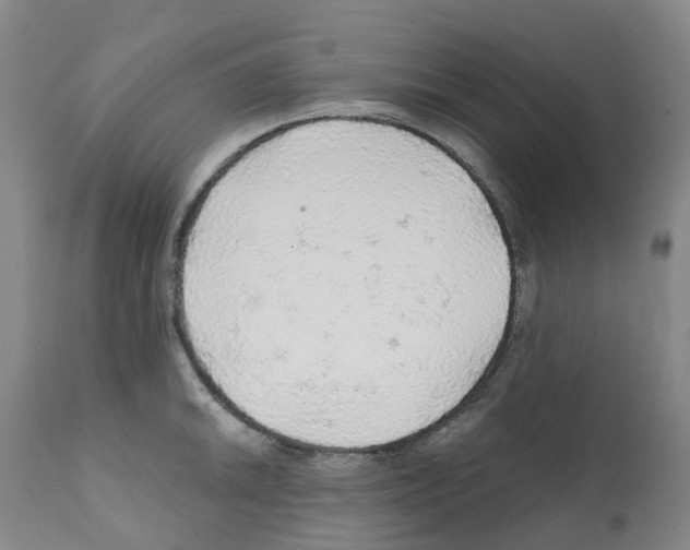 X0000112161046200909181443