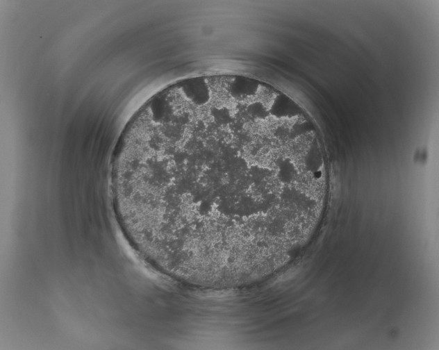 X0000112161047200909181443