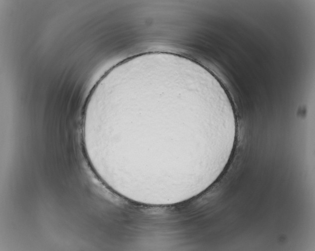X0000112161048200909181443