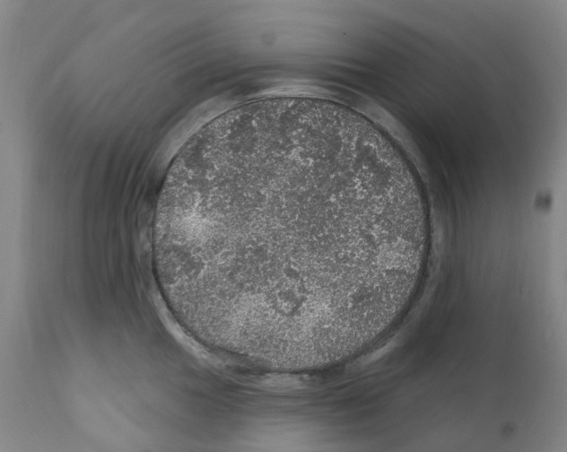 X0000112161049200909181443