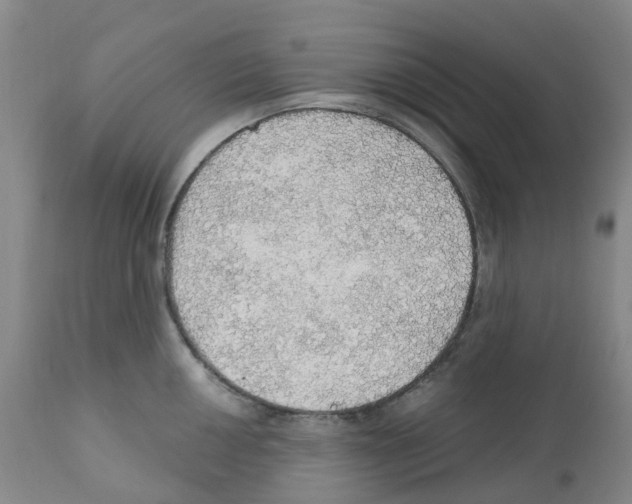 X0000112161050200909181443