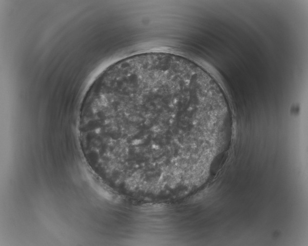X0000112161051200909181443