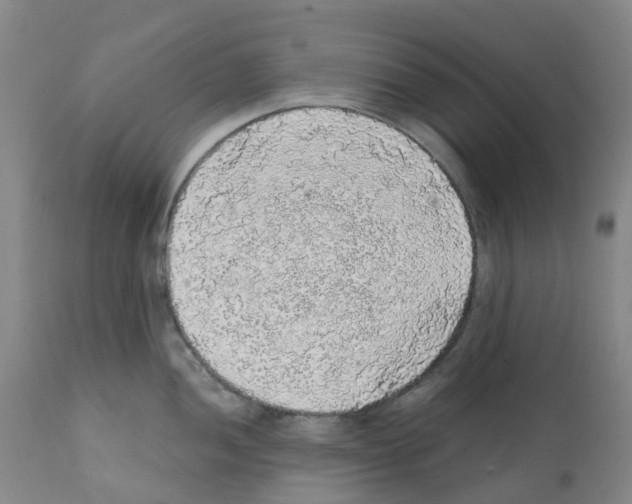 X0000112161052200909181443