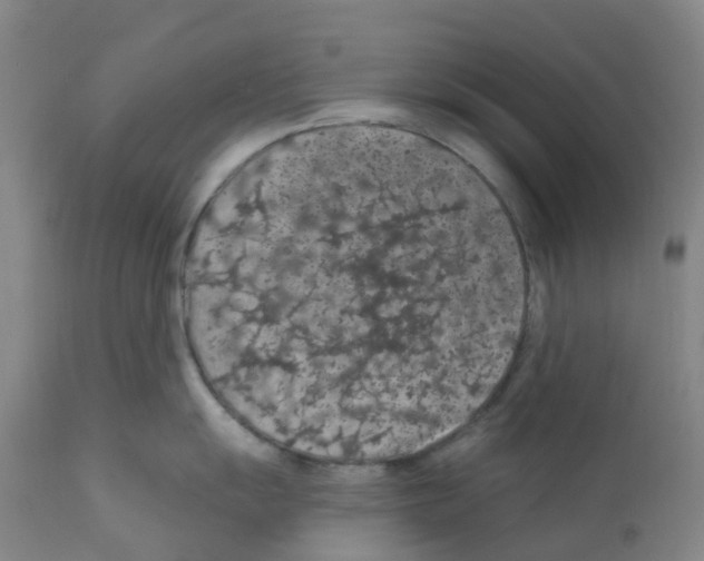 X0000112161055200909181443