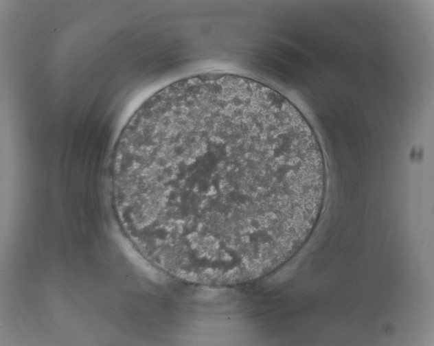 X0000112161056200909181443