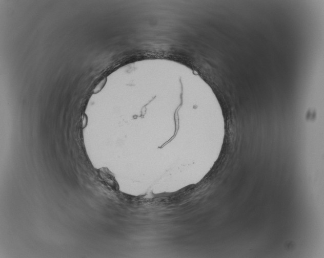 X0000112161057200909181442