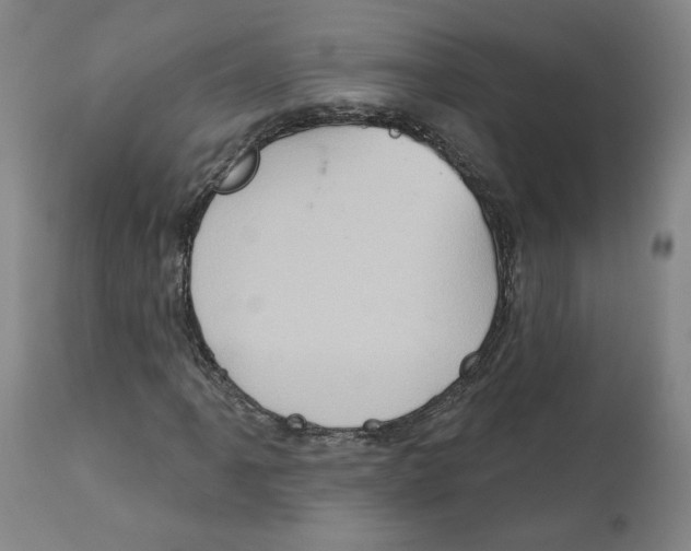 X0000112161061200909181442