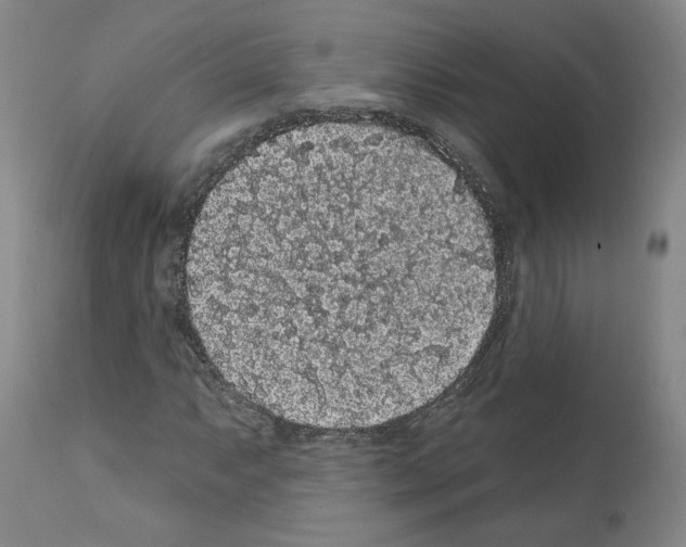 X0000112161063200909181442